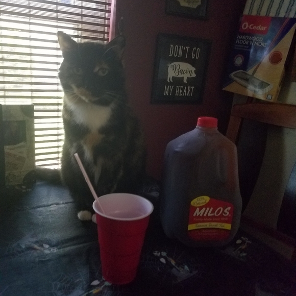 Meet your Posh Ambassador, C - Picture 10 of 16